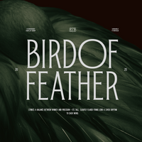 TRT Bird of Feather – Elegant Serif Typeface