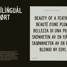 trt-bird-of-feather-elegant-serif-typeface-unknown-creator-15.png