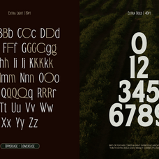trt-bird-of-feather-elegant-serif-typeface-unknown-creator-2.png
