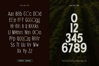 TRT Bird of Feather – Elegant Serif Typeface