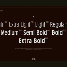 trt-bird-of-feather-elegant-serif-typeface-unknown-creator-3.png