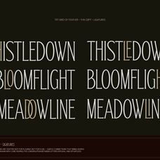 trt-bird-of-feather-elegant-serif-typeface-unknown-creator-4.png