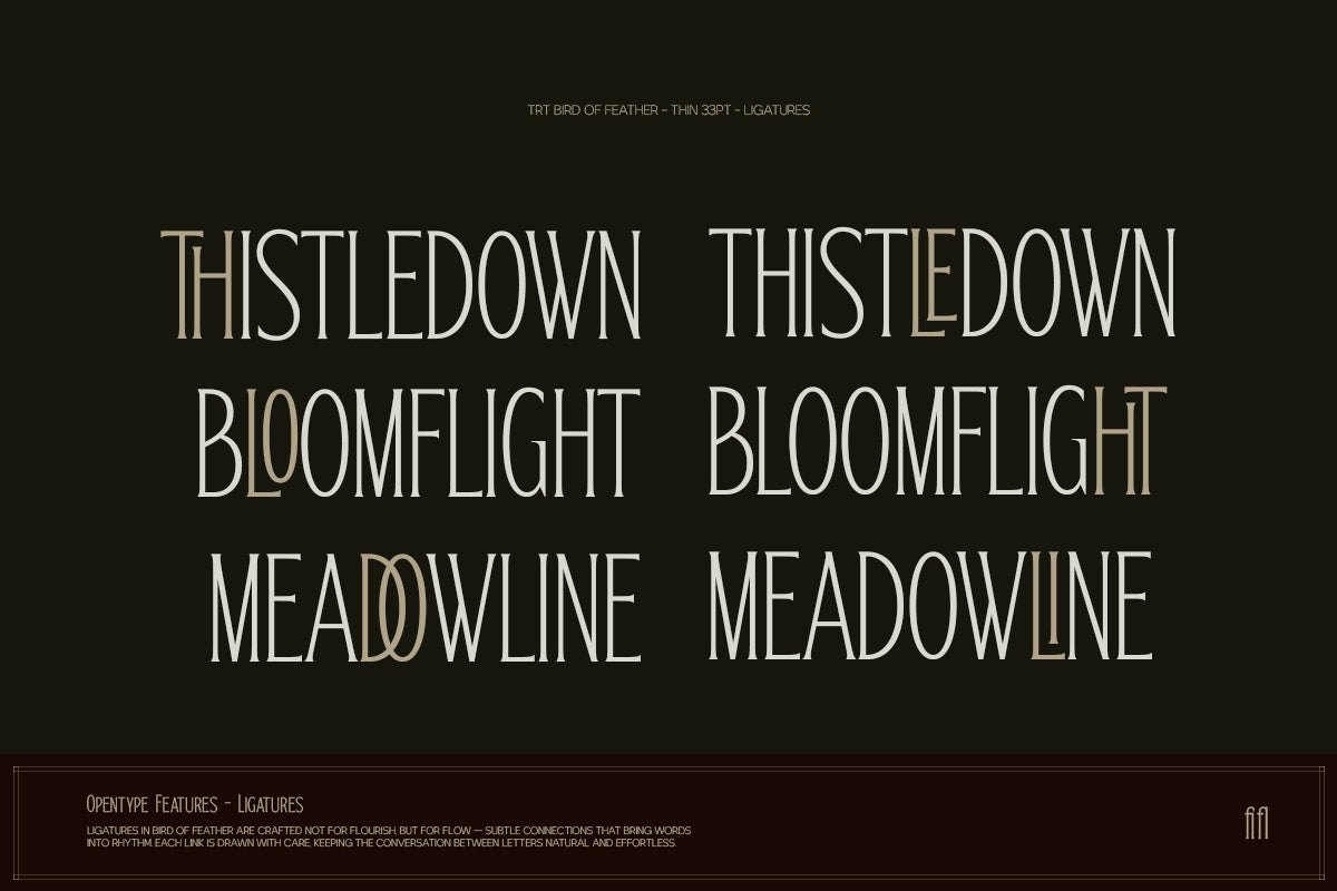 trt-bird-of-feather-elegant-serif-typeface-unknown-creator-4.png