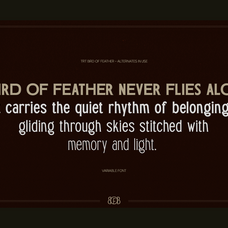 trt-bird-of-feather-elegant-serif-typeface-unknown-creator-5.png