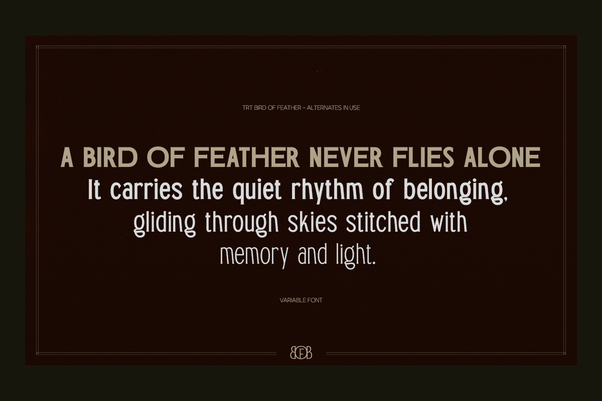 trt-bird-of-feather-elegant-serif-typeface-unknown-creator-5.png