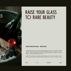 trt-bird-of-feather-elegant-serif-typeface-unknown-creator-7.png