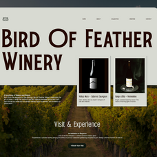 trt-bird-of-feather-elegant-serif-typeface-unknown-creator-8.png