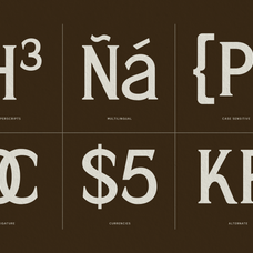 trt-bright-guard-editorial-display-typeface-true-type-lab-3.png