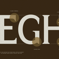 trt-bright-guard-editorial-display-typeface-true-type-lab-4.png