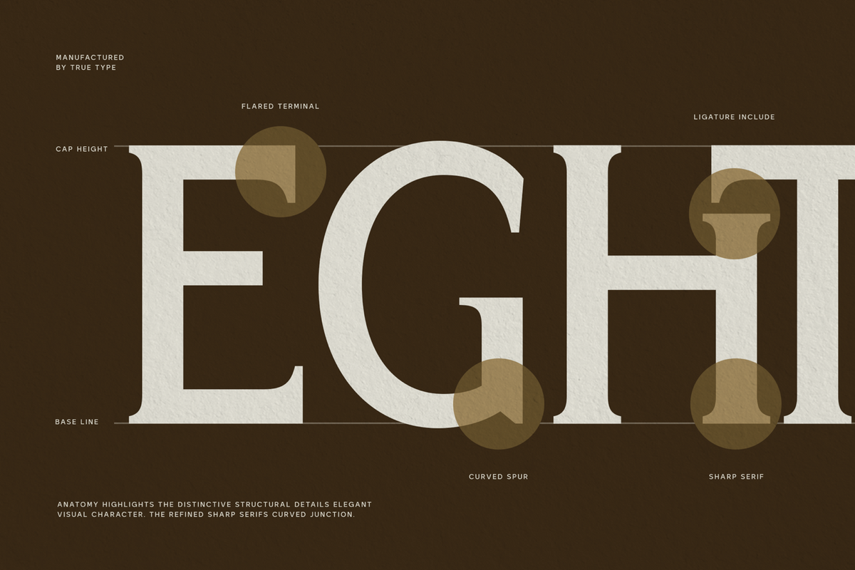 trt-bright-guard-editorial-display-typeface-true-type-lab-4.png