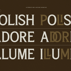 trt-bright-guard-editorial-display-typeface-true-type-lab-5.png