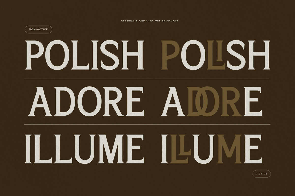 trt-bright-guard-editorial-display-typeface-true-type-lab-5.png