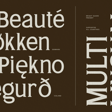 trt-bright-guard-editorial-display-typeface-true-type-lab-6.png