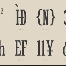 trt-epic-dope-elegant-condensed-serif-true-type-lab-5.png