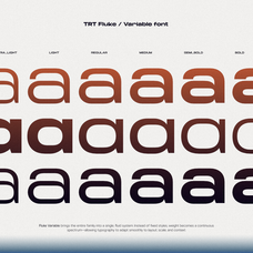 trt-fluke-expanded-modern-sans-serif-true-type-lab-3.png