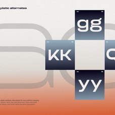 trt-fluke-expanded-modern-sans-serif-true-type-lab-5.png
