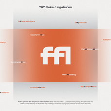 trt-fluke-expanded-modern-sans-serif-true-type-lab-7.png