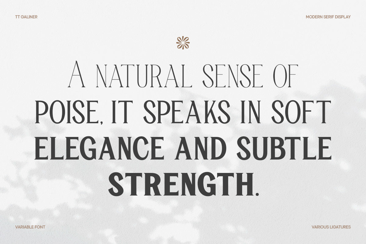 trt-galiner-timeless-elegance-serif-unknown-creator-12.jpg