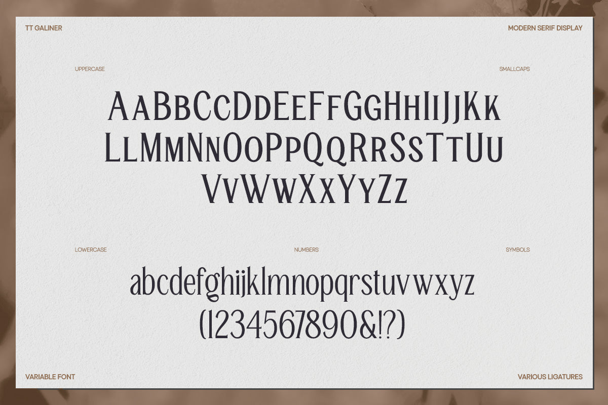trt-galiner-timeless-elegance-serif-unknown-creator-13.jpg