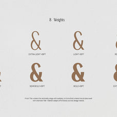 trt-galiner-timeless-elegance-serif-unknown-creator-14.jpg