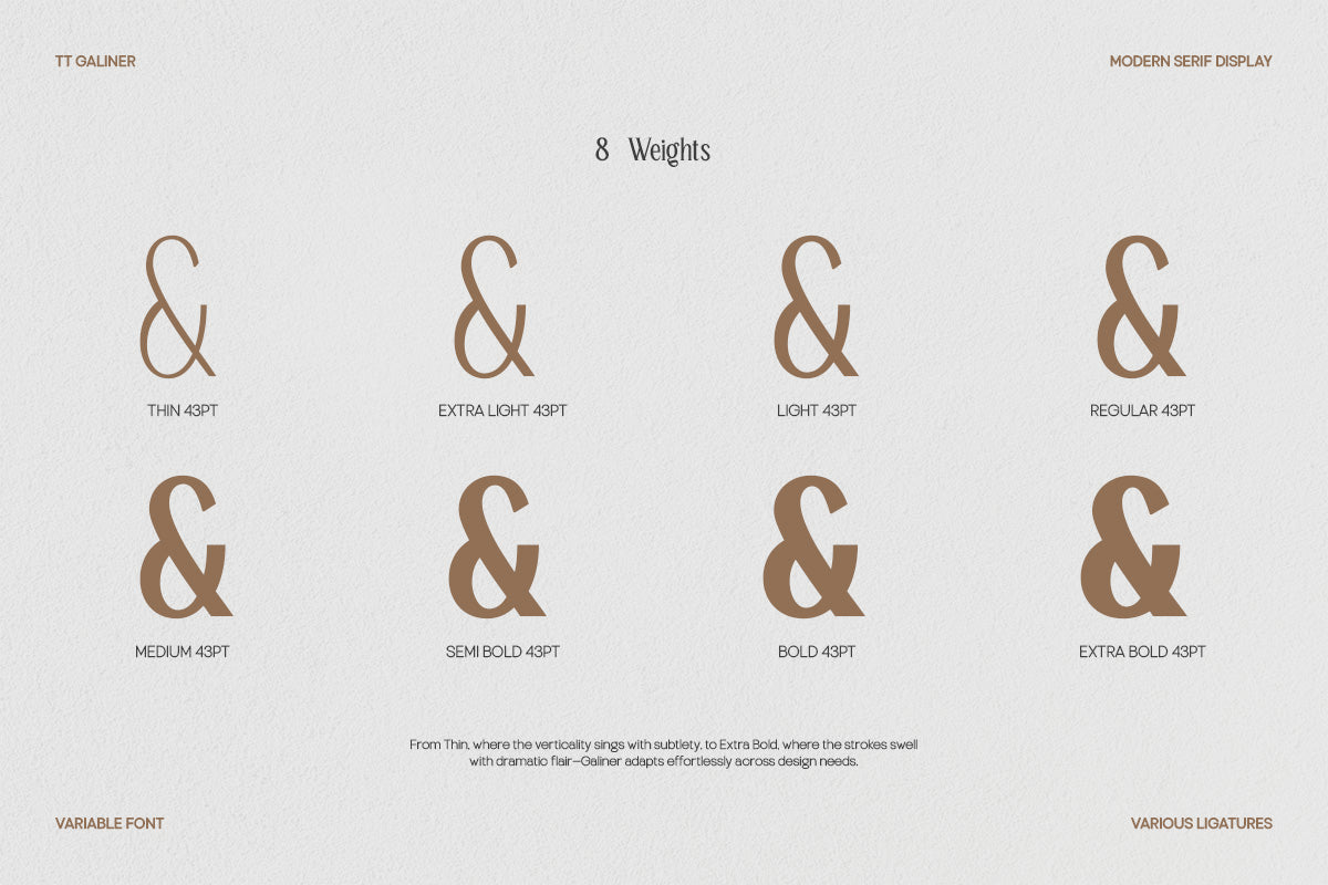 trt-galiner-timeless-elegance-serif-unknown-creator-14.jpg