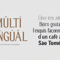 trt-galiner-timeless-elegance-serif-unknown-creator-15.jpg