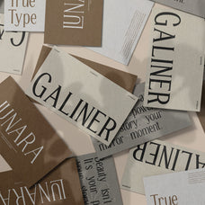 trt-galiner-timeless-elegance-serif-unknown-creator-8.jpg