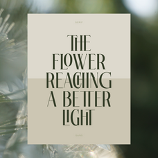 trt-glanore-elegant-serif-sans-duo-unknown-creator-6.png