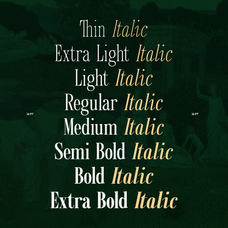 trt-kingdom-heaven-serif-family-with-true-italic-unknown-creator-3.png