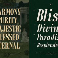trt-kingdom-heaven-serif-family-with-true-italic-unknown-creator-5.png