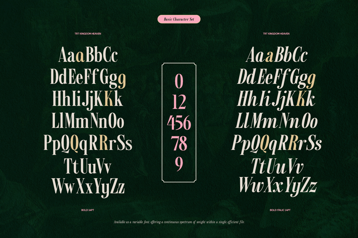trt-kingdom-heaven-serif-family-with-true-italic-unknown-creator-6.png