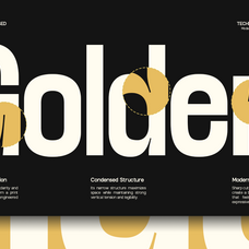 trt-lancelot-condensed-font-family-unknown-creator-11.png