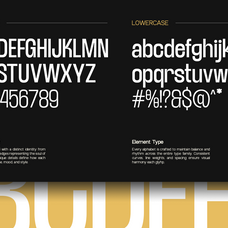 trt-lancelot-condensed-font-family-unknown-creator-2.png