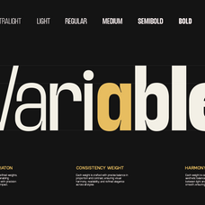 trt-lancelot-condensed-font-family-unknown-creator-3.png