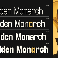 trt-lancelot-condensed-font-family-unknown-creator-7.png