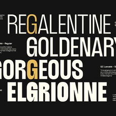 trt-lancelot-condensed-font-family-unknown-creator-9.png