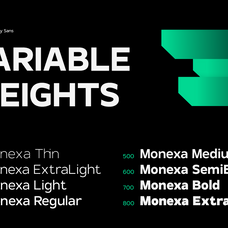 trt-monexa-modern-sans-typeface-true-type-lab-2.png