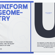 trt-naron-semi-grotesque-sans-font-family-unknown-creator-9.png