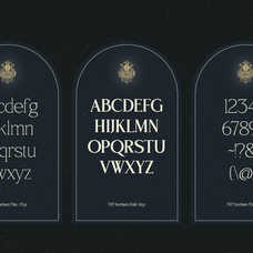 trt-northem-elegant-serif-font-family-unknown-creator-11.png