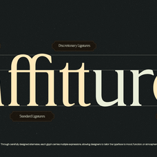 trt-northem-elegant-serif-font-family-unknown-creator-13.png