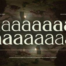 trt-northem-elegant-serif-font-family-unknown-creator-14.png