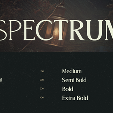 trt-northem-elegant-serif-font-family-unknown-creator-2.png