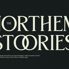 trt-northem-elegant-serif-font-family-unknown-creator-4.png