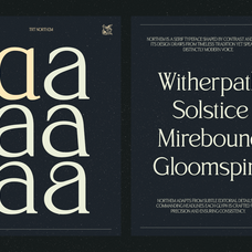 trt-northem-elegant-serif-font-family-unknown-creator-9.png