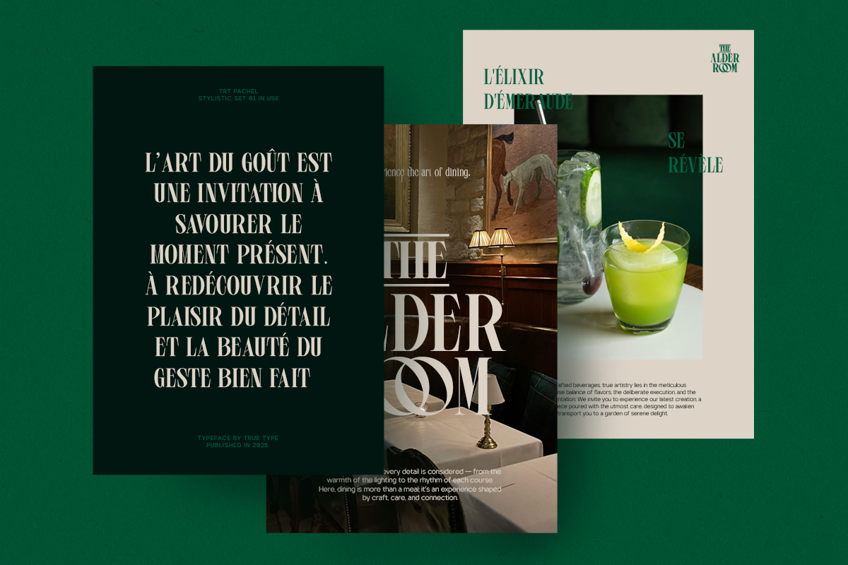 trt-pachel-luxury-editorial-serif-font-unknown-creator-12.png