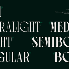 trt-pachel-luxury-editorial-serif-font-unknown-creator-2.png