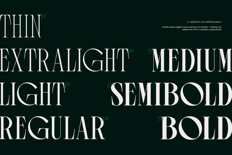 TRT Pachel Luxury Editorial Serif Font