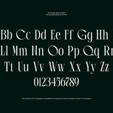 trt-pachel-luxury-editorial-serif-font-unknown-creator-3.png