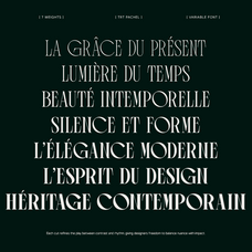 trt-pachel-luxury-editorial-serif-font-unknown-creator-4.png