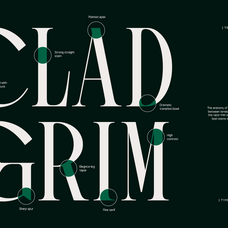 trt-pachel-luxury-editorial-serif-font-unknown-creator-5.png